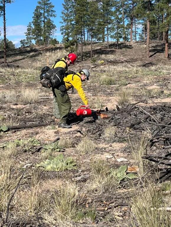 ⚠️ Paliza prescribed burn moving ahead; smoke visible today - NewsBreak