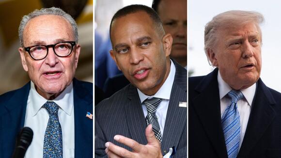 ‘None of this is lawful’: Chuck Schumer, Hakeem Jeffries, and Democratic groups sue President Donald Trump and the Justice Department over pressure on states to purge voter rolls