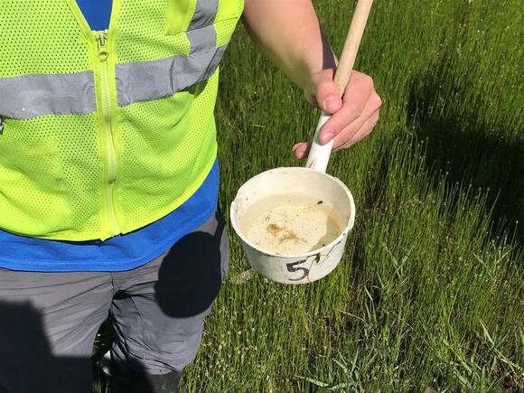 North Dakota sees first West Nile death in 2026 - NewsBreak