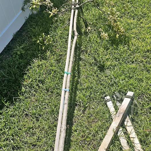 🎁 Freebies Up for Grabs in Tallahassee Right Now - NewsBreak