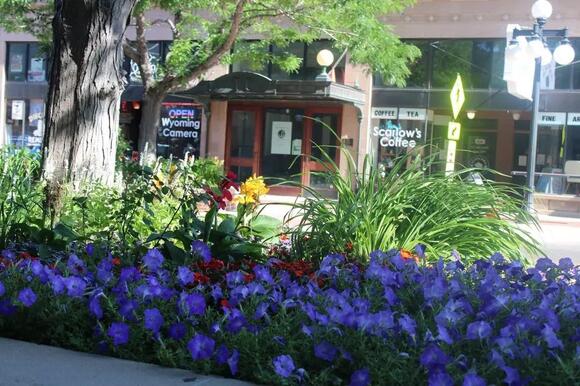 A Closer Look At Wyoming’s Gradual Population Increase - NewsBreak