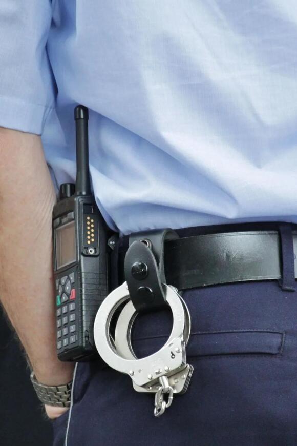 Armed Robbers Targeted a Fairfield Home on Alamo Drive and Led Police ...