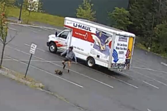 ‘Unusually Aggressive’ Mystery Animal Attacking People In New Hampshire ...