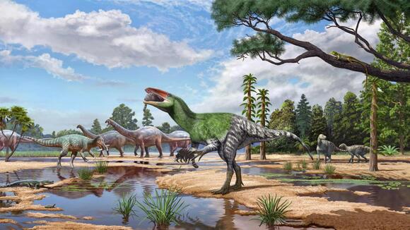 Newly identified dinosaur was a slimmer, more maneuverable cousin to T ...