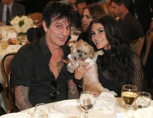 Why did Tommy Lee and Heather Locklear divorce? Split explored as actress  reacts to musician's video with wife Brittany Furlan - NewsBreak