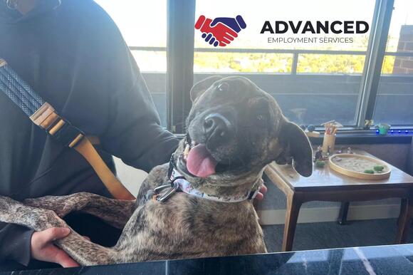 Yellowstone Valley Animal Shelter Has A Sweet, Playful 3-year-old Ready ...