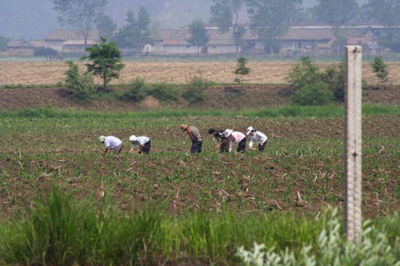 37 Photos That Reveal What Everyday Life Looks Like In North Korea ...