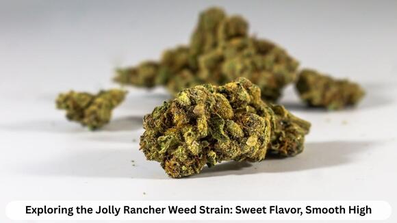 Exploring the Jolly Rancher Weed Strain: Sweet Flavor, Smooth High ...