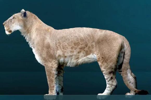 7 Incredible Prehistoric Predators That Hunted Across Ancient America ...