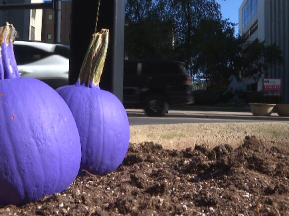 Purple Peace Pumpkins placed across Lexington for Domestic Violence ...