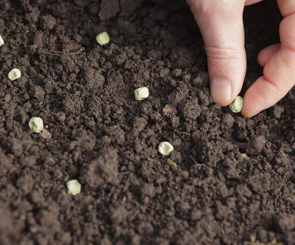 Don’t Be Fooled by This Warm Spell – ‘False Spring’ Could Wipe Out Your ...