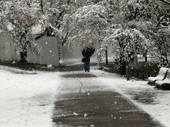Northern Colorado Snow Totals Are In - NewsBreak