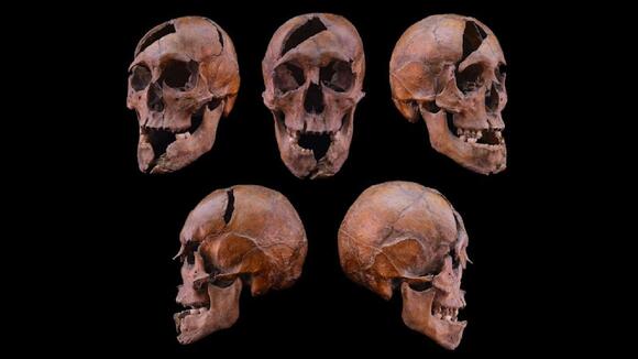 Medieval Hungarian duke was murdered in a brutal and coordinated attack ...