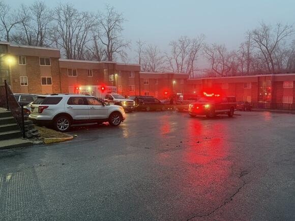 Police identify woman fatally shot in Avondale, suspect in custody ...