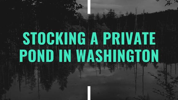 How to Stock a Private Pond in Washington State (Rules Every Landowner ...