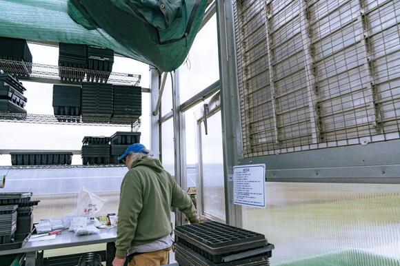 At Norbut Farms, the future of solar is shepherded by the sheep - NewsBreak