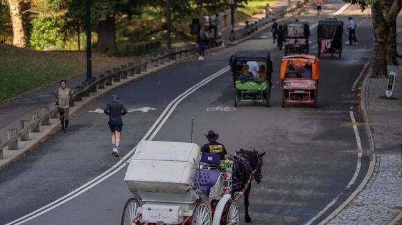 Trump laments NYC horse-drawn carriage ban