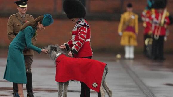 Prince Harry Accused of ‘Cosplaying as a Royal’ by Posing in Medals ...