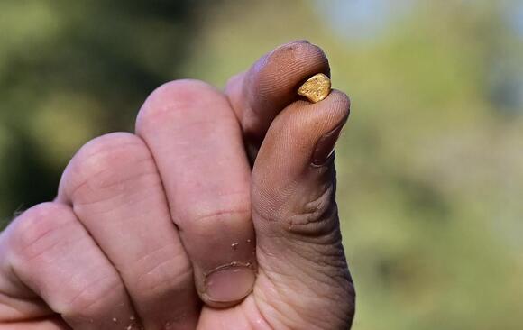 Father and son charged with illegal gold mining in California: ‘This is ...