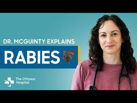 Rabies Death: Ontario Child Dies in First Locally Acquired Case Since ...