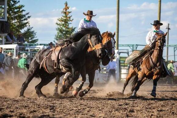 15 top rodeos in Wyoming to catch live - NewsBreak