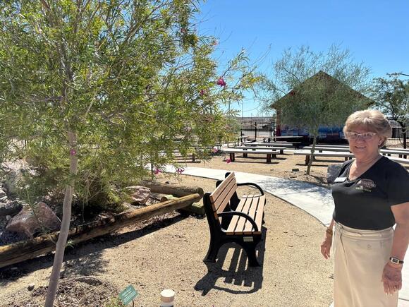 📅 $10 hands-on mesquite bread workshop in Bullhead City - NewsBreak