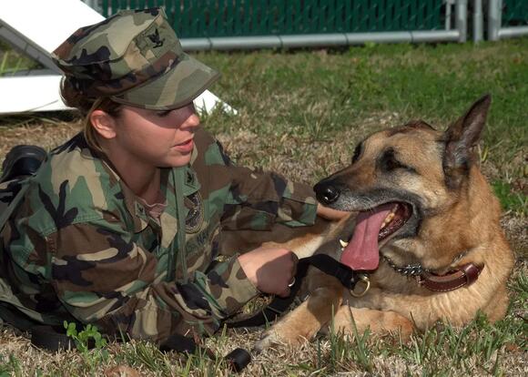 How to Gently Correct Your Dog Without Shouting: A Positive ...