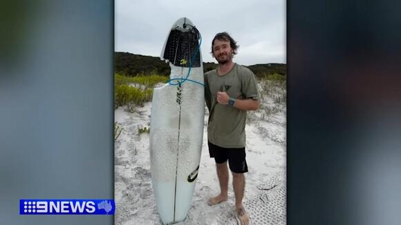 Bronze whaler surfboard clearance