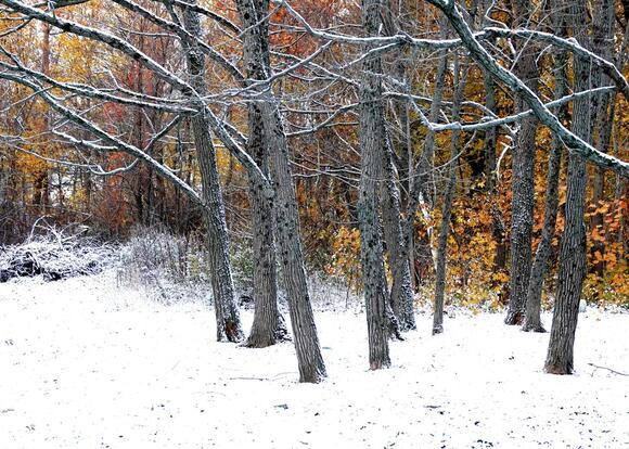 The Date You Can Expect to See First Snowfall in 4 Maine Cities - NewsBreak