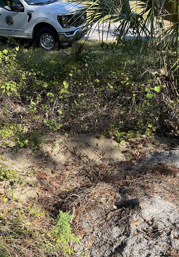 NORTH PORT: $163K fine for improper clearing issued - NewsBreak