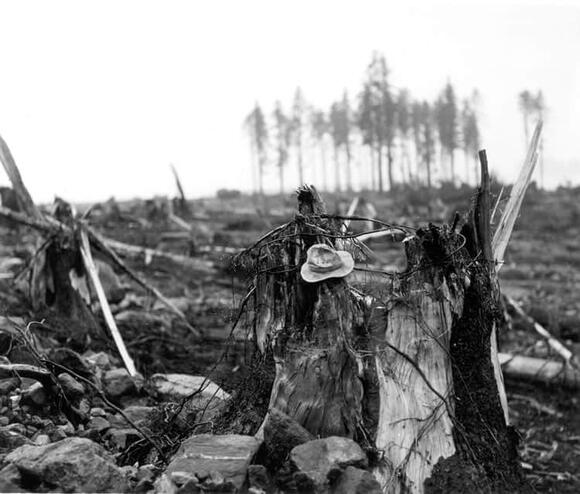 Tsunami 200 000 dead