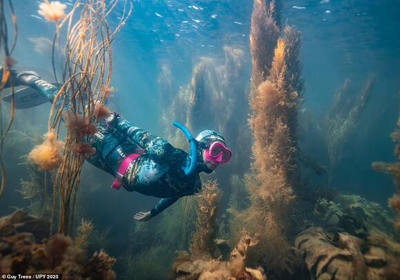 From jousting fish to thirsty camels and a 'screaming' sponge: Behold ...