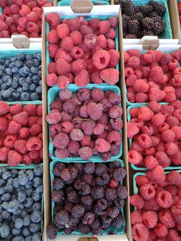 Things to Know Before You Put Raspberries in Your Grocery Cart - NewsBreak