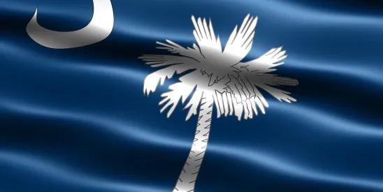 A New SC Supreme Court Decision Protects Ability of Personal ...
