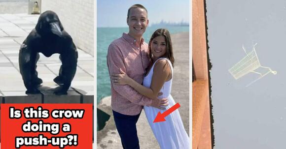 My Brain Literally Cannot Compute What's Happening In These 11 Utterly ...