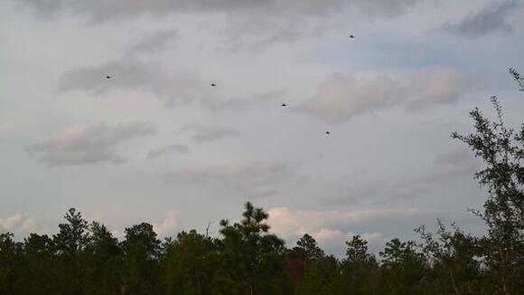 US unveils terrifying drone swarm that uses AI brain to annihilate ...