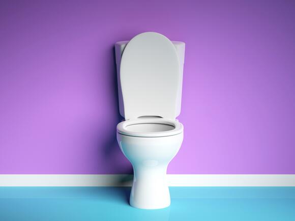 Loud toilet flush is violation of human rights, rules Italy's high court