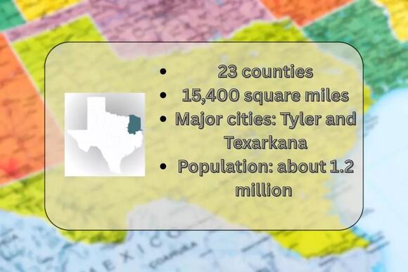 Early Voting in the 2026 Texas Primary Starts Soon - NewsBreak