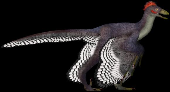 The Smallest Dinosaur Ever Found – It Was the Size of a Bird! - NewsBreak