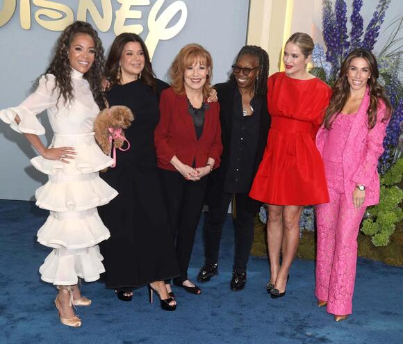 Ana Navarro Erupts at ‘The View’ Cohosts Over ‘Lady and the Tramp’ Joke ...