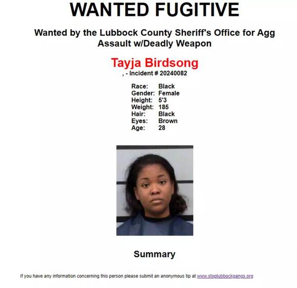 Lubbock Woman Pleads Guilty to Murder, Sentenced to 20 Years - NewsBreak
