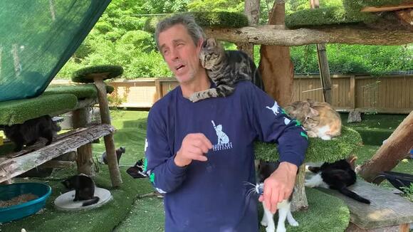 Animal sanctuary owner, at least 100 cats killed in suspicious Long ...