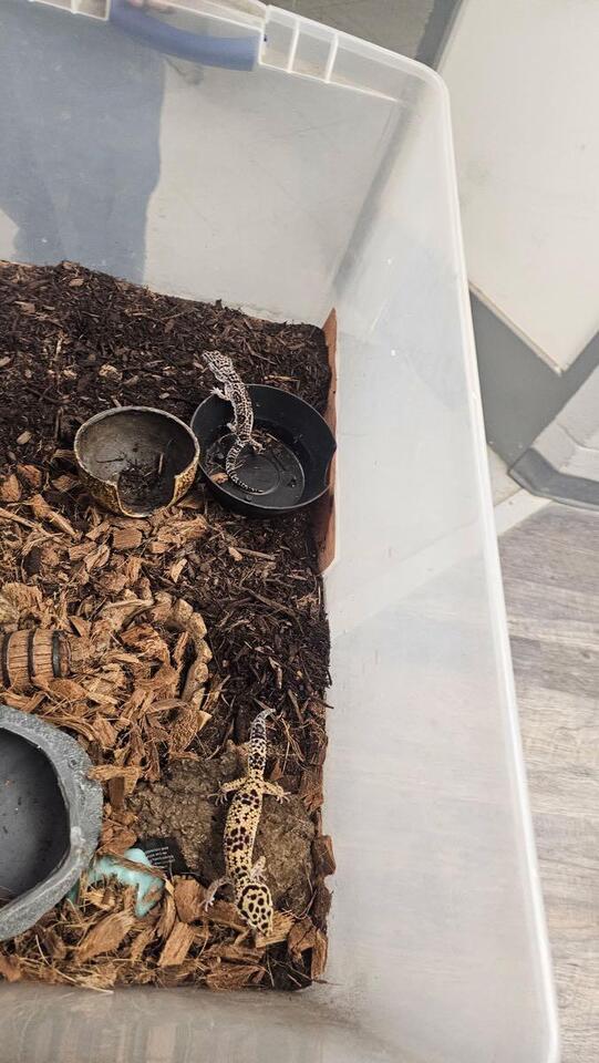 🎁 Free Stuff Around Baltimore — Furniture, Tools & More - NewsBreak