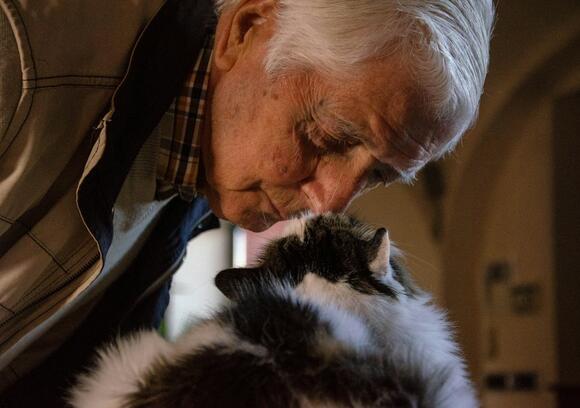12 Reactions That Show Your Cat Is Finally at Peace With You - NewsBreak