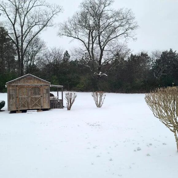 SNOW DAY 2025 Final batch of user submitted photos (Part 3) NewsBreak