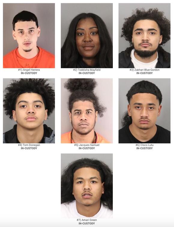 Seven suspects arrested in heinous California jewelry store robbery ...