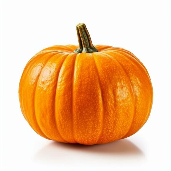 Denver program turns pumpkins, fallen leaves into compost - NewsBreak