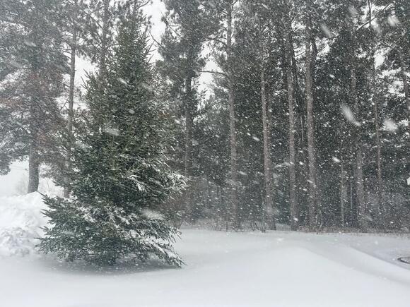 ️ Blizzard Across Wisconsin: Snow Totals and Photos from Around the ...