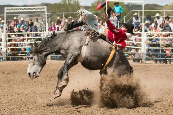 The Riggin Masters Brings Top 24 PRCA Bareback Bronc Riders To Billings ...