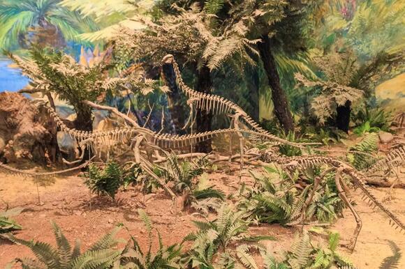 10 Hidden Clues in Fossils That Reveal Prehistoric Dinosaur Behavior ...
